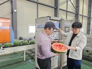 쿠팡, AI로 과일 품질관리 고도화…'로켓프레시 경쟁력 강화'